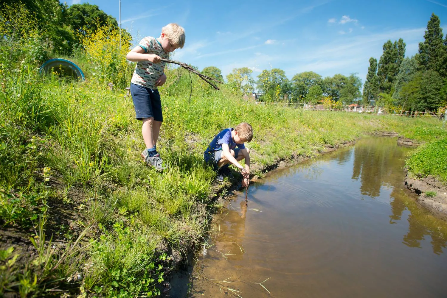 kweektuin