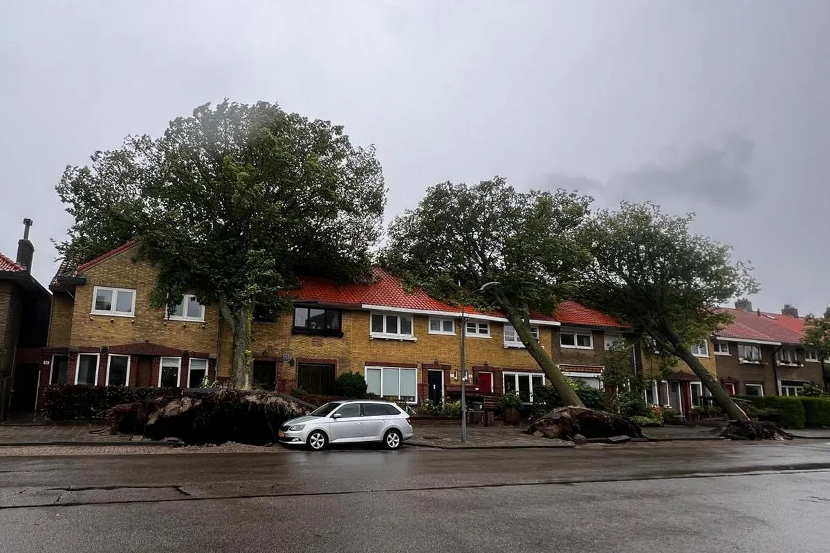 molijnstraat 2