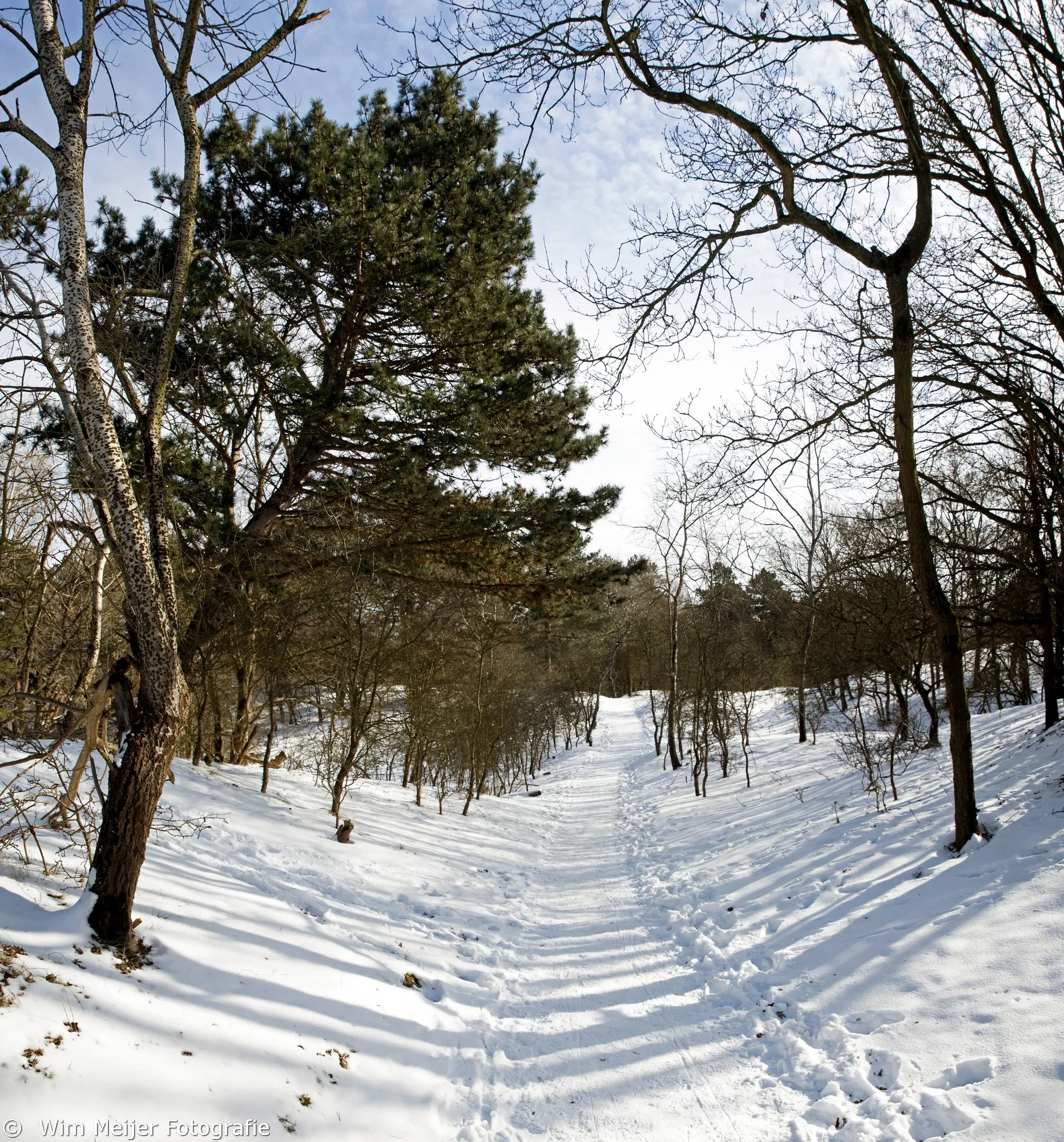 naamloos panorama2 awd sneeuw