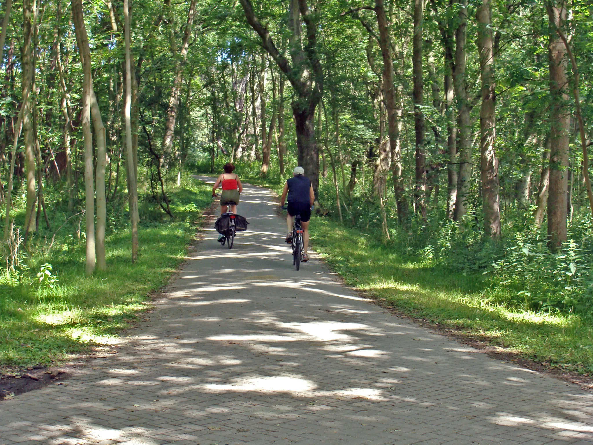 natuurmonumenten fietsers bos klinkerpad drieduinenweg