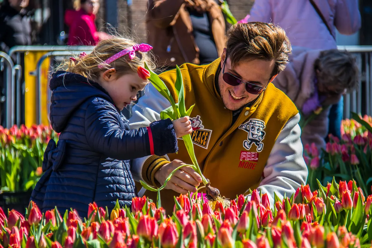 persbericht haarlem marketing vier de lente bloemenmarkt