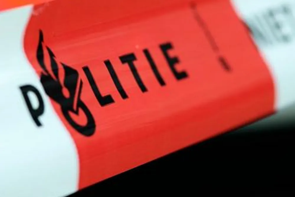 politielint