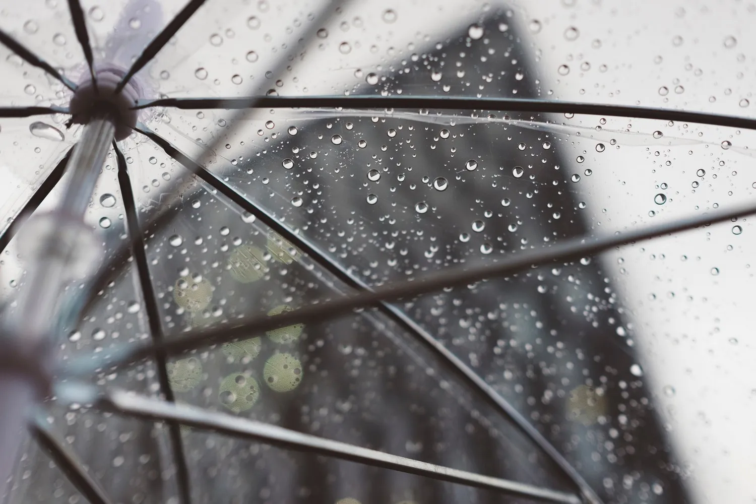 rain 2590618 1920