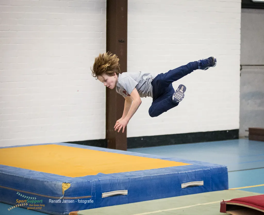 rj8 11 sps fre 80982 copy