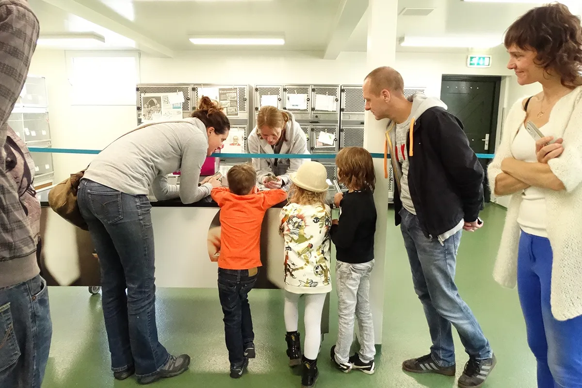 rondleiding vogelhospitaal 2 1