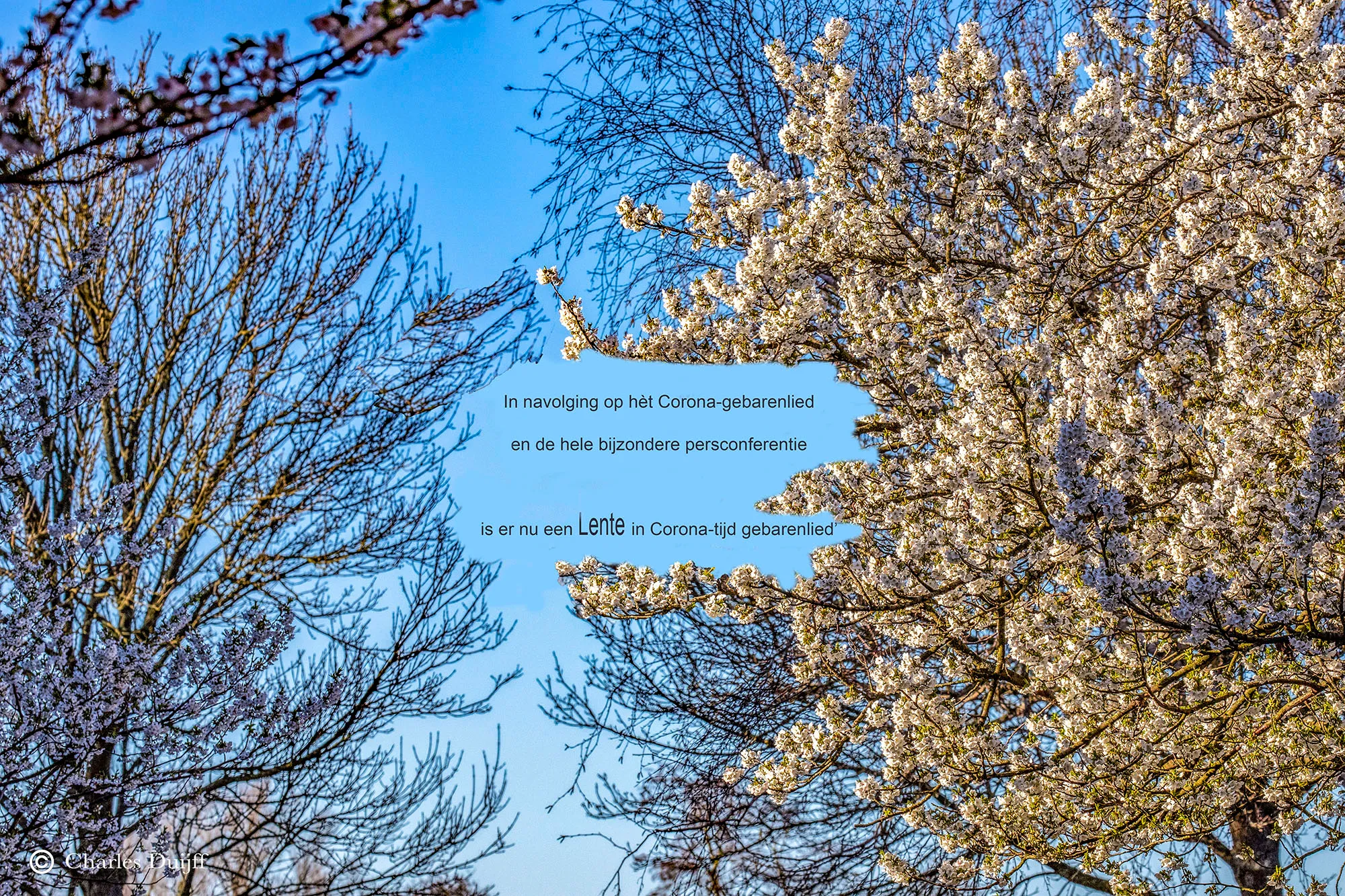 spring verkl