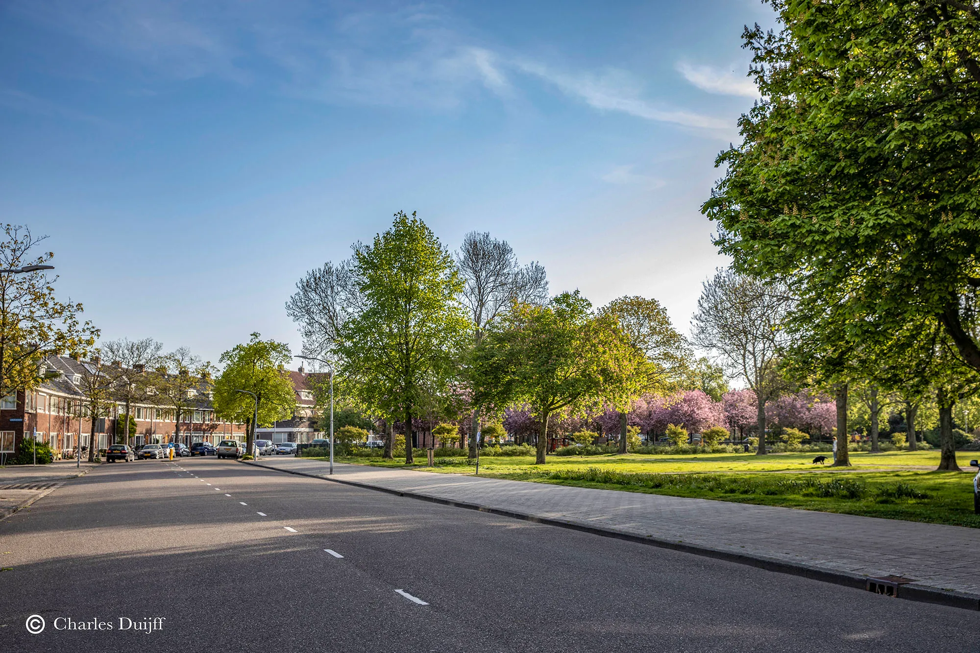 zaanenpark