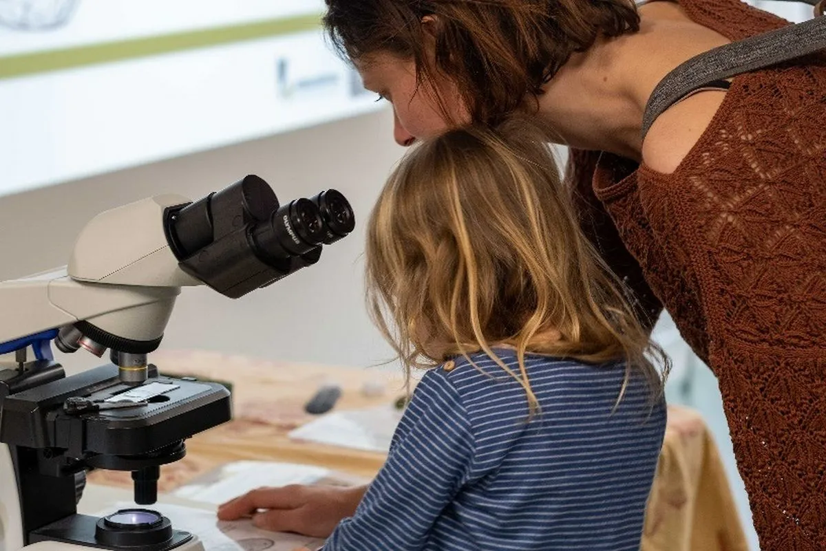 educatiemiddag vogelhospitaal copyright vogelhospitaal haarlem en omgeving