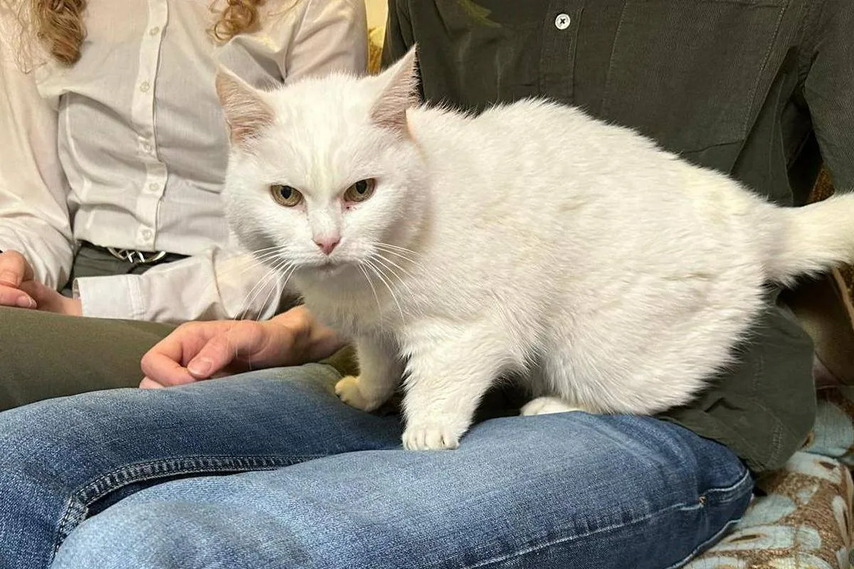 catlovers whitney