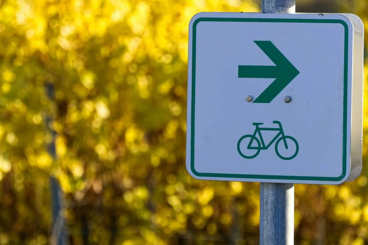 distelapparath-bicycle-path-3862341