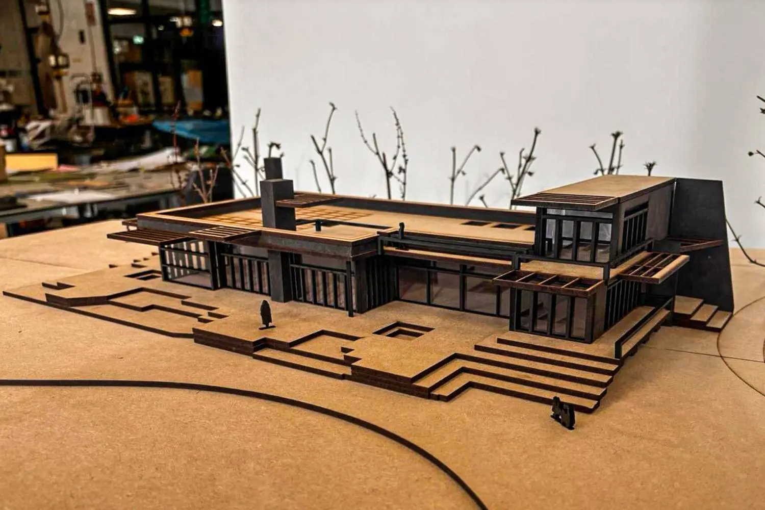 MaquetteBotanika kopieb