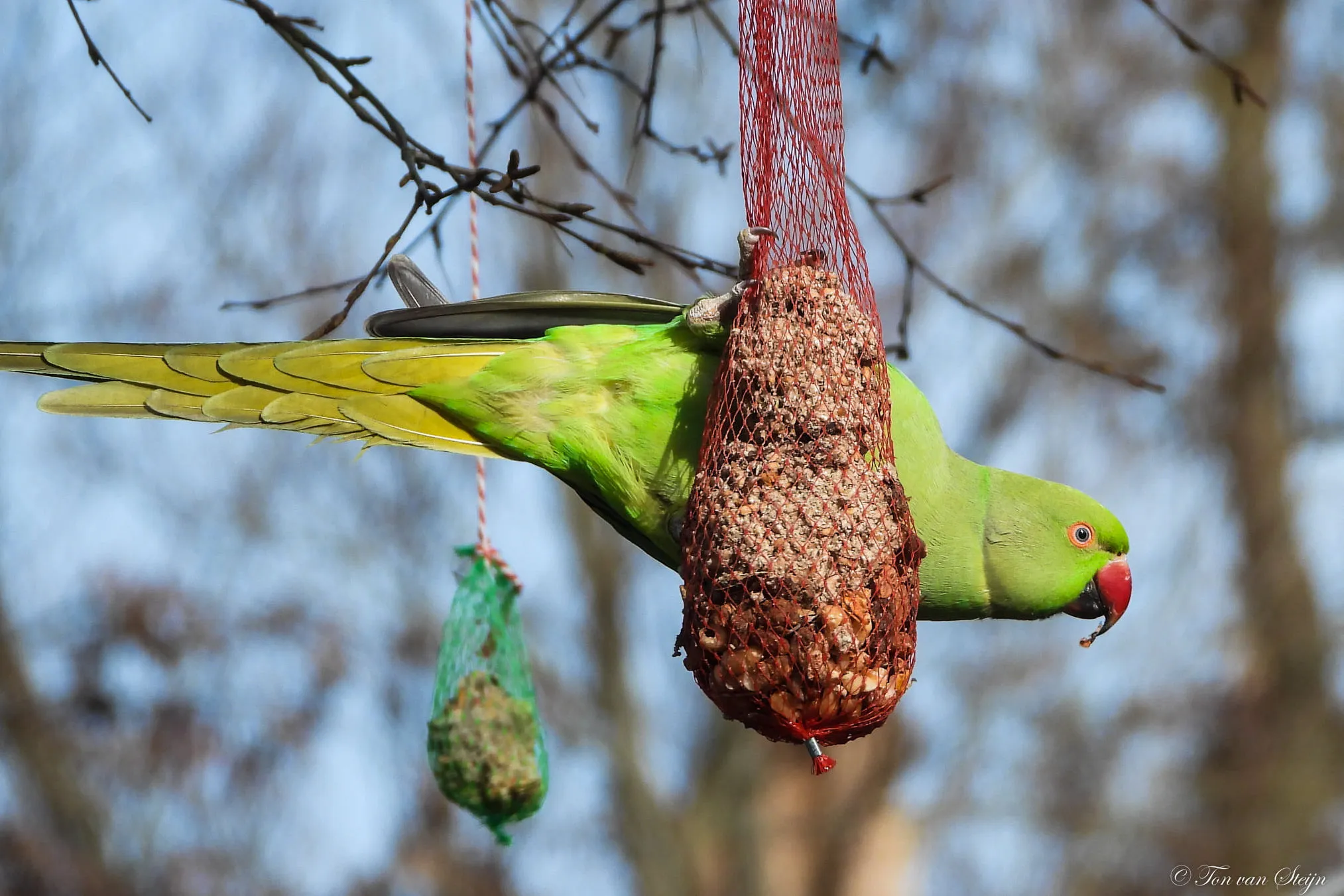 152700183 3650345565064683 9039761938744080471 o