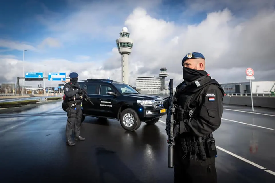 175614227 6878374208846697 6770791818989850067 n