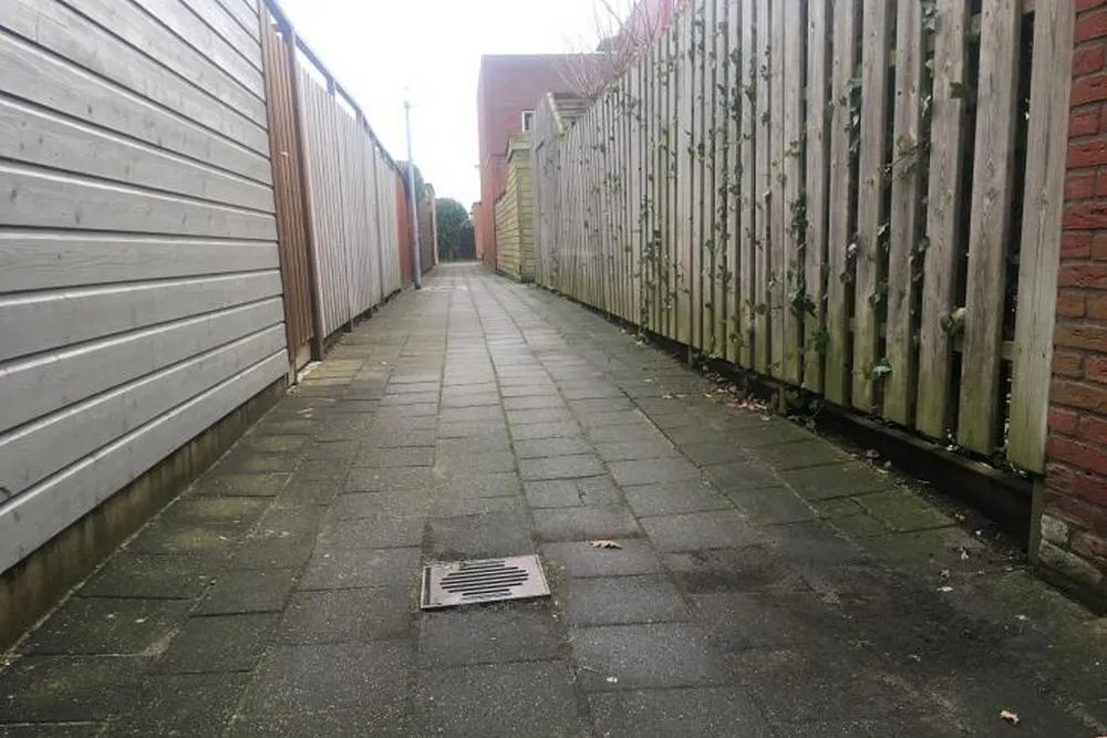 2021 02 17 getsewoud richard