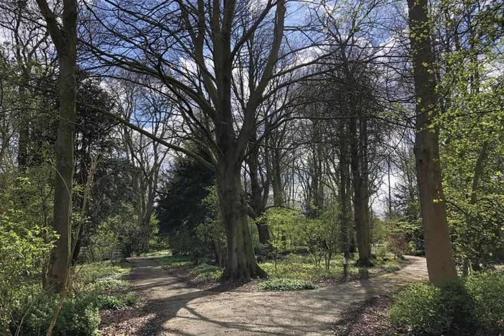 2021 09 27 wandelbos foto gemeente haarlemmermeer