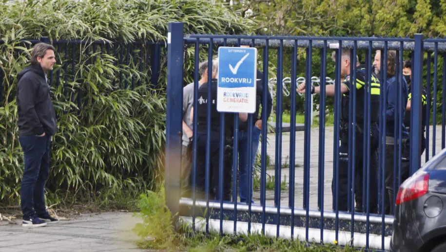 20210517150359 mg 0865 915x518 1