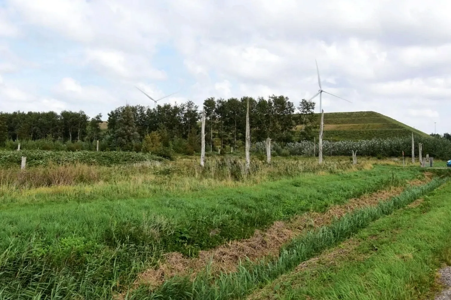 2023 11 22 houtrakpolder