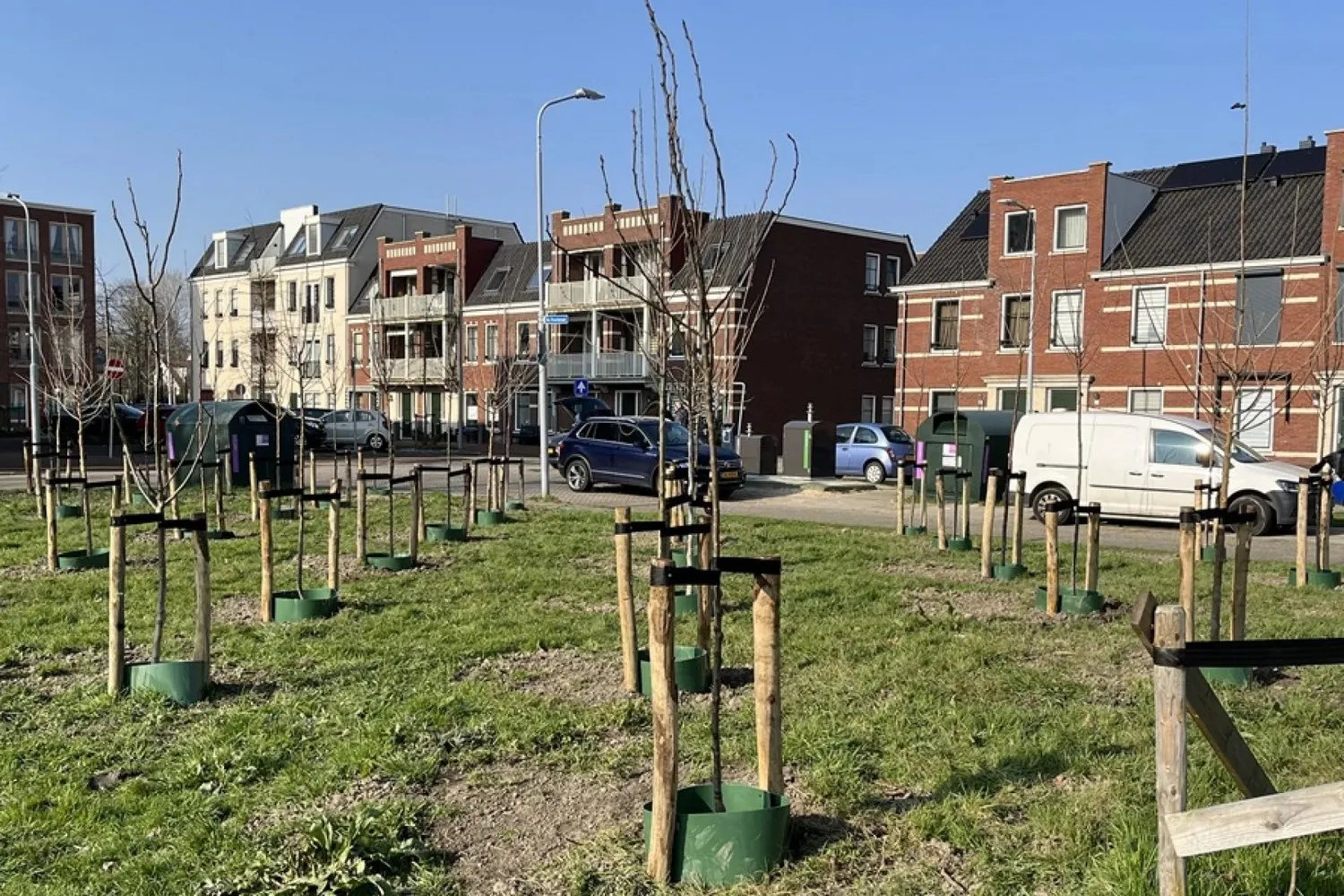 2024 03 1920fruitbomen