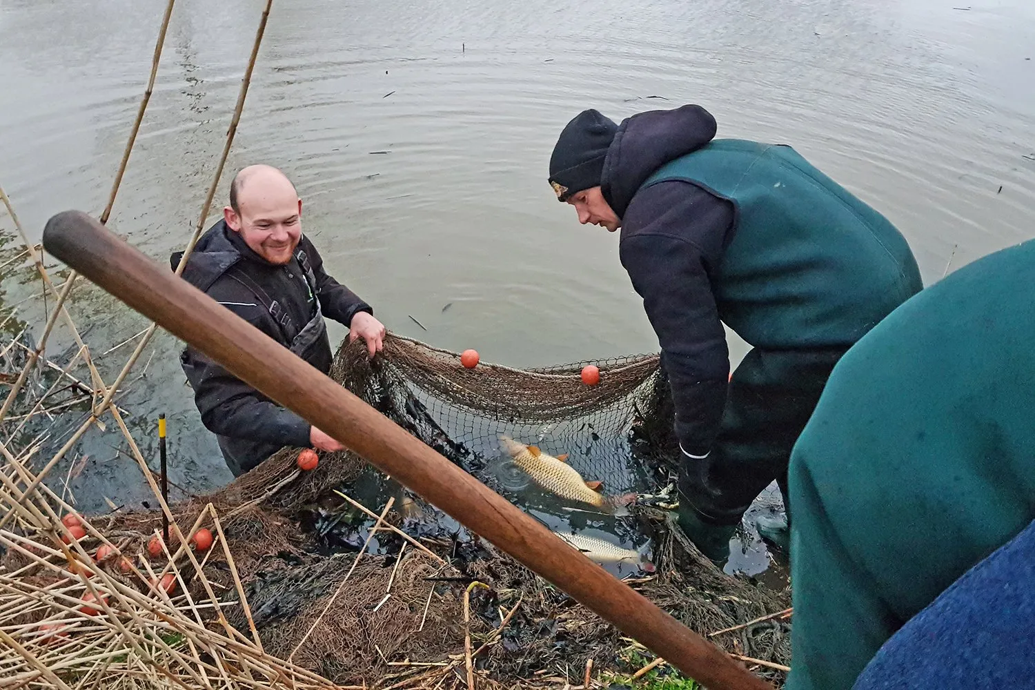 210113 smwn persbericht karpers gered in badhoevedorp 1