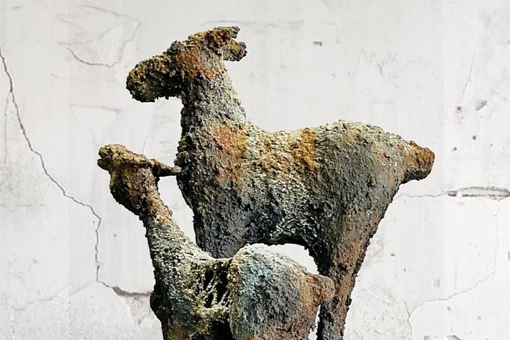 210916 paarden kopie 2