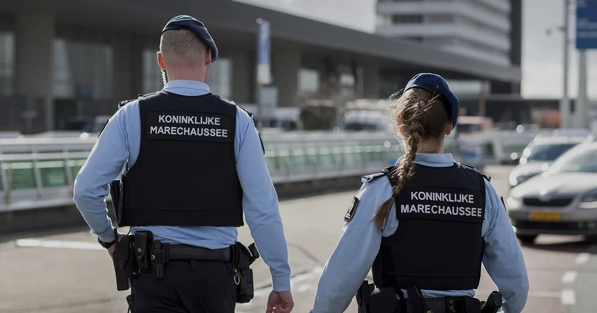 23ba353d 3f57 448a aaed a5d3351de876