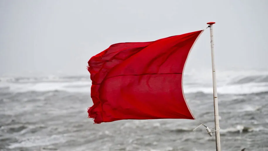 273002951 667928974552457 2715862378291491080 n 915x518 1