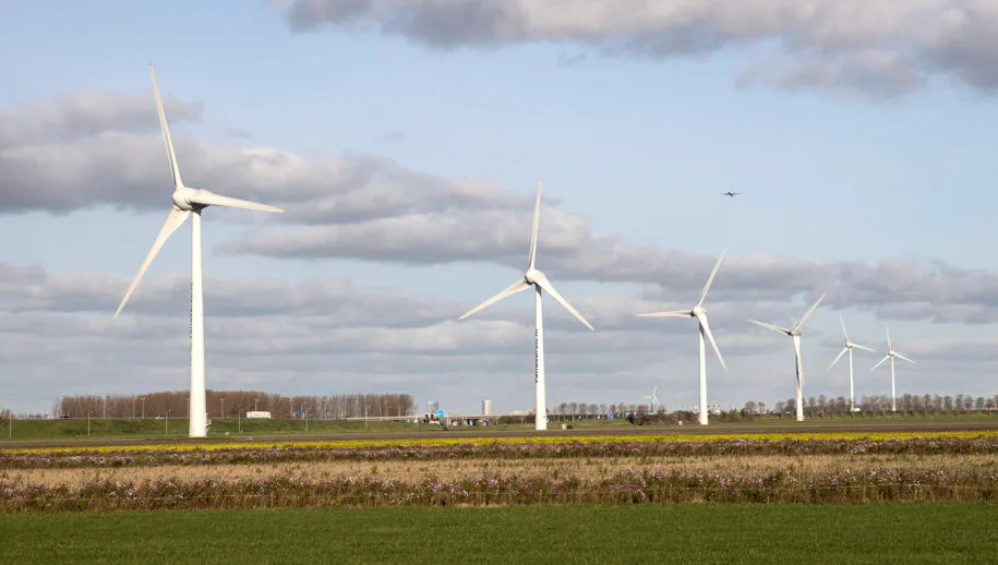 3z1a6084 windmolens wim meijer fotografie 915x518 1