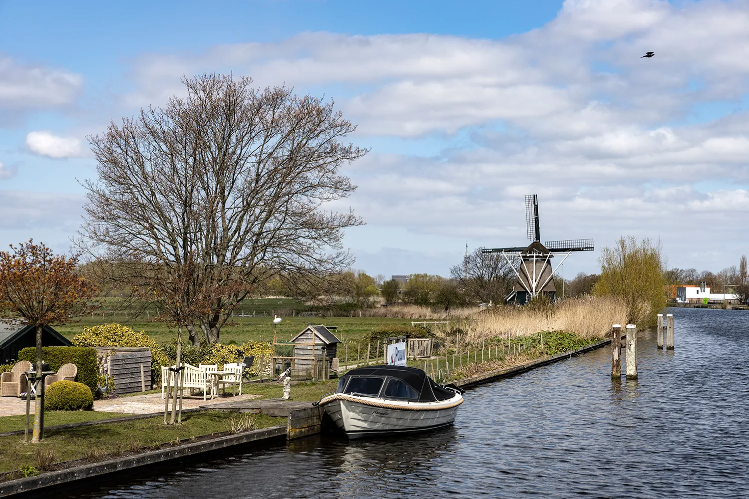 3z1a9855 ringvaart wim meijer fotografie