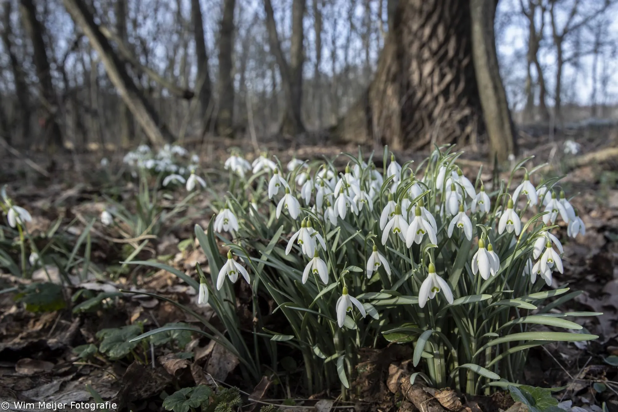 52717035 2938167546195178 7090802319192752128 n