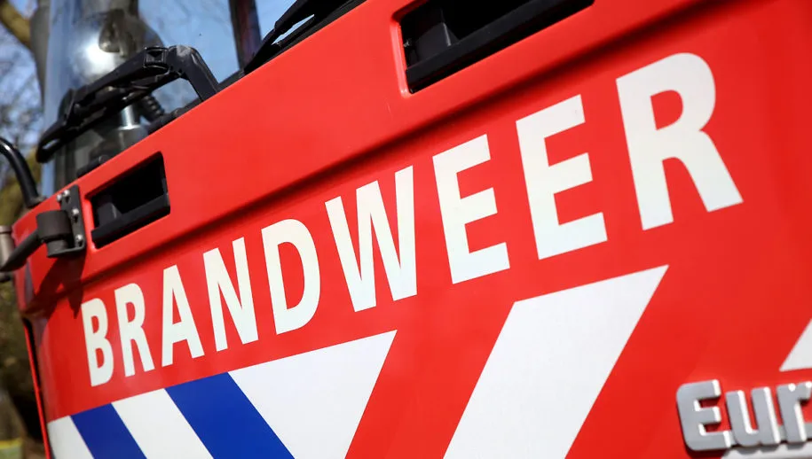 5i5a3805 wim meijer fotografie 915x518