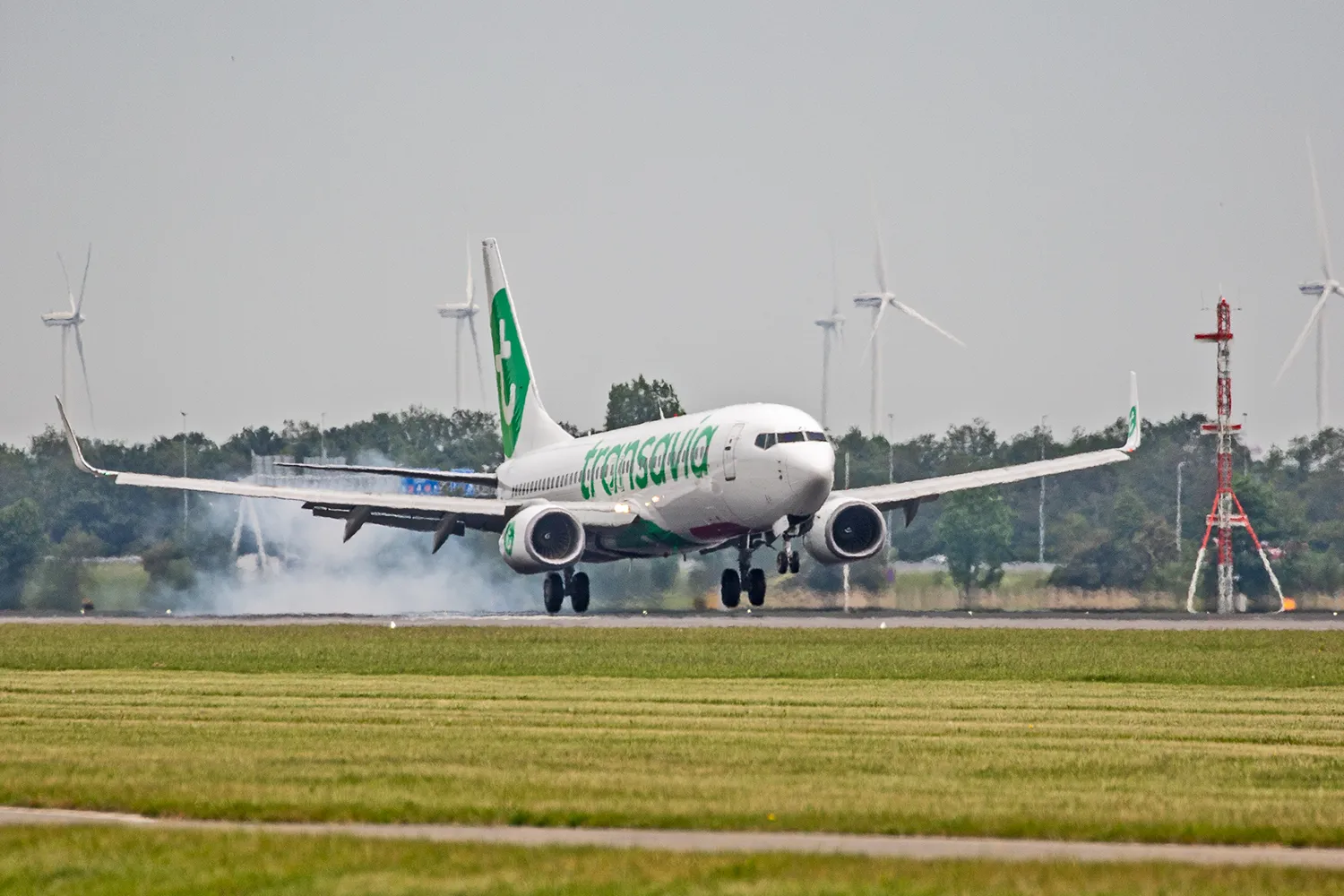 5i5a8633 transavia wim meijer fotografie