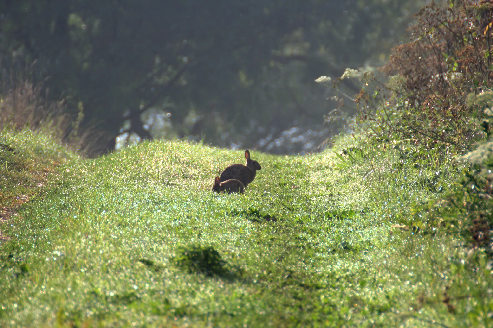 9738207088 ae345fcc36 z