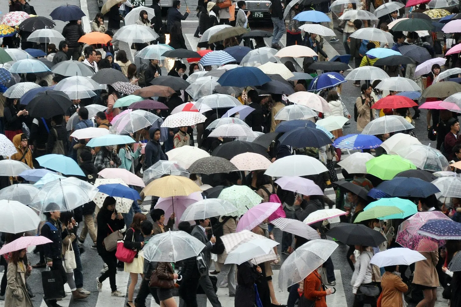 alex block 0ftasntrc2m unsplash