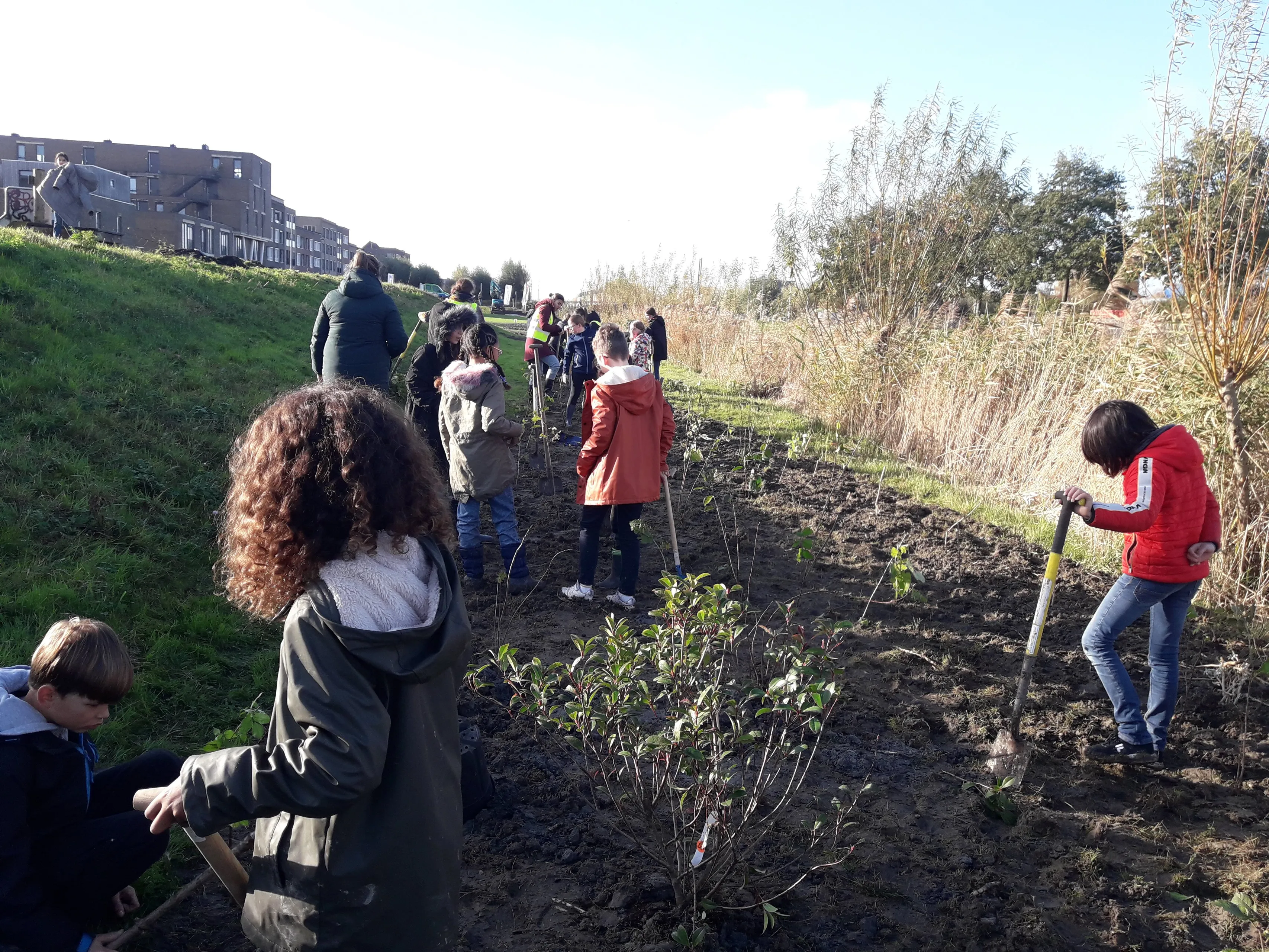 blog20novbomenplanten