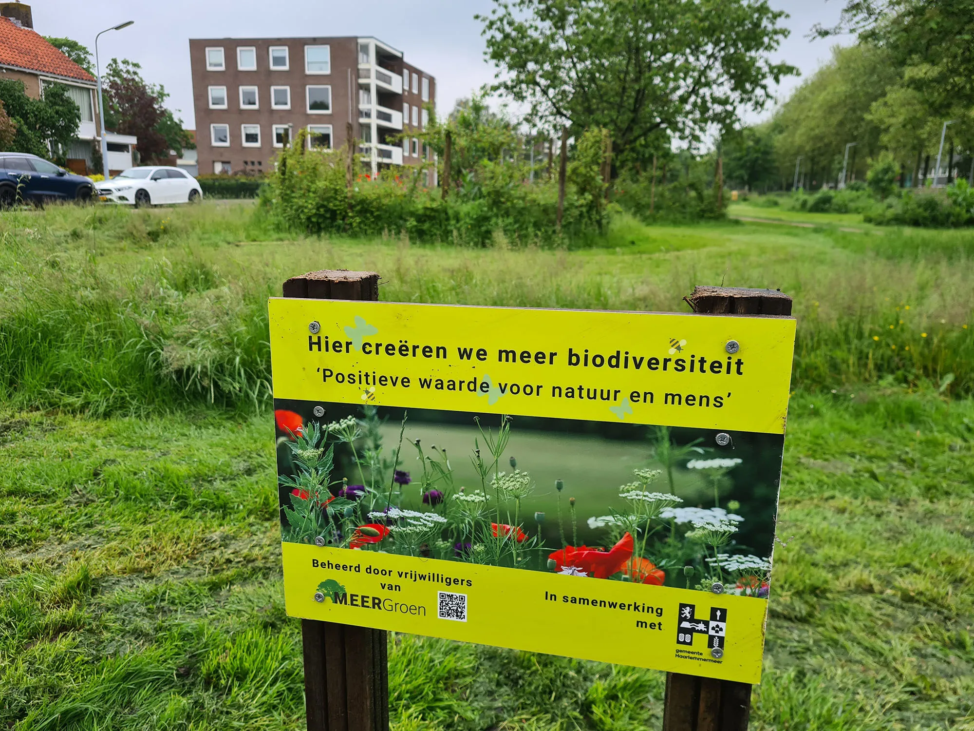 blog26 mei info bord bloemenw eides
