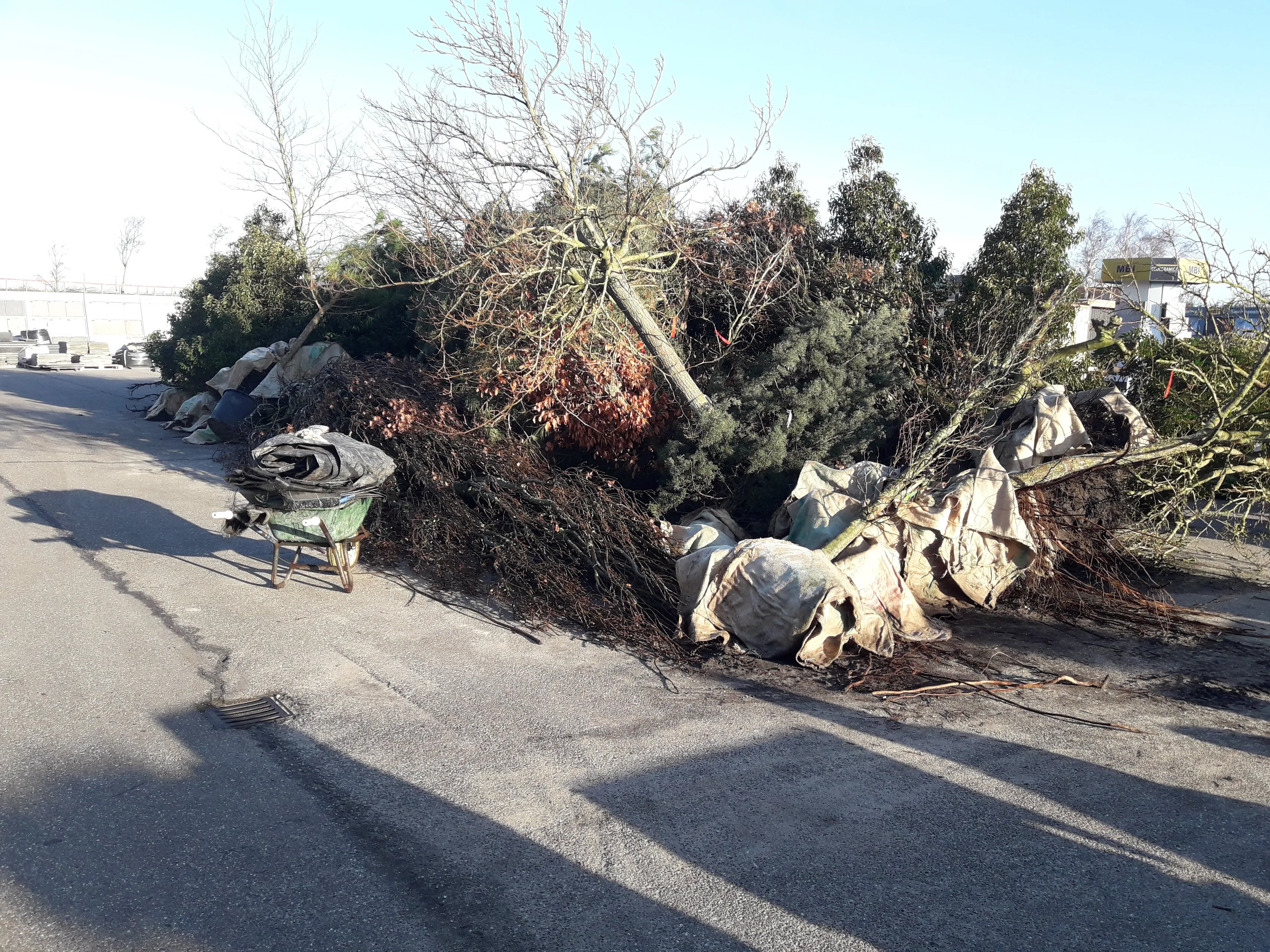 blog27 2globalgarden