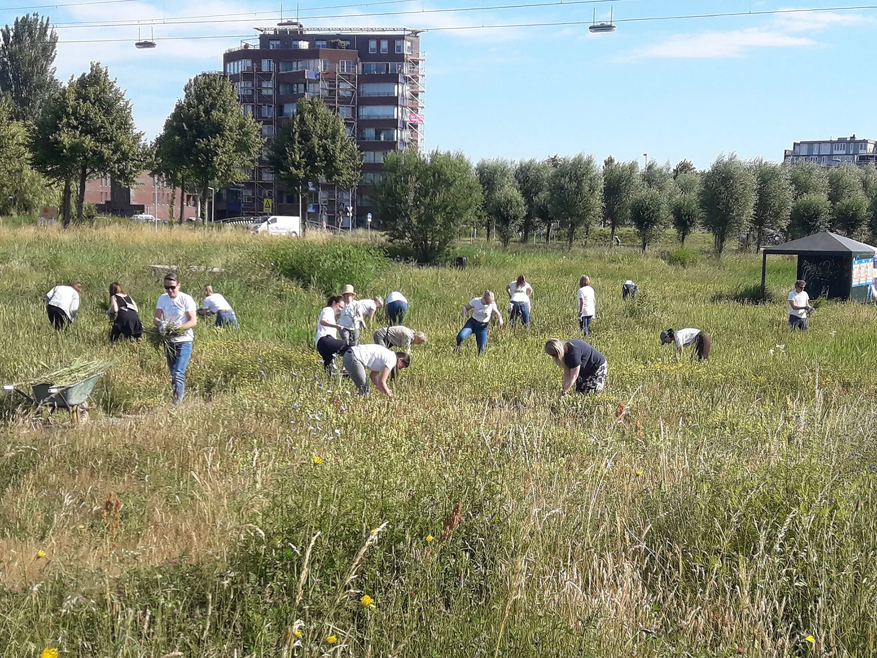 blog2julizaad verzamelen