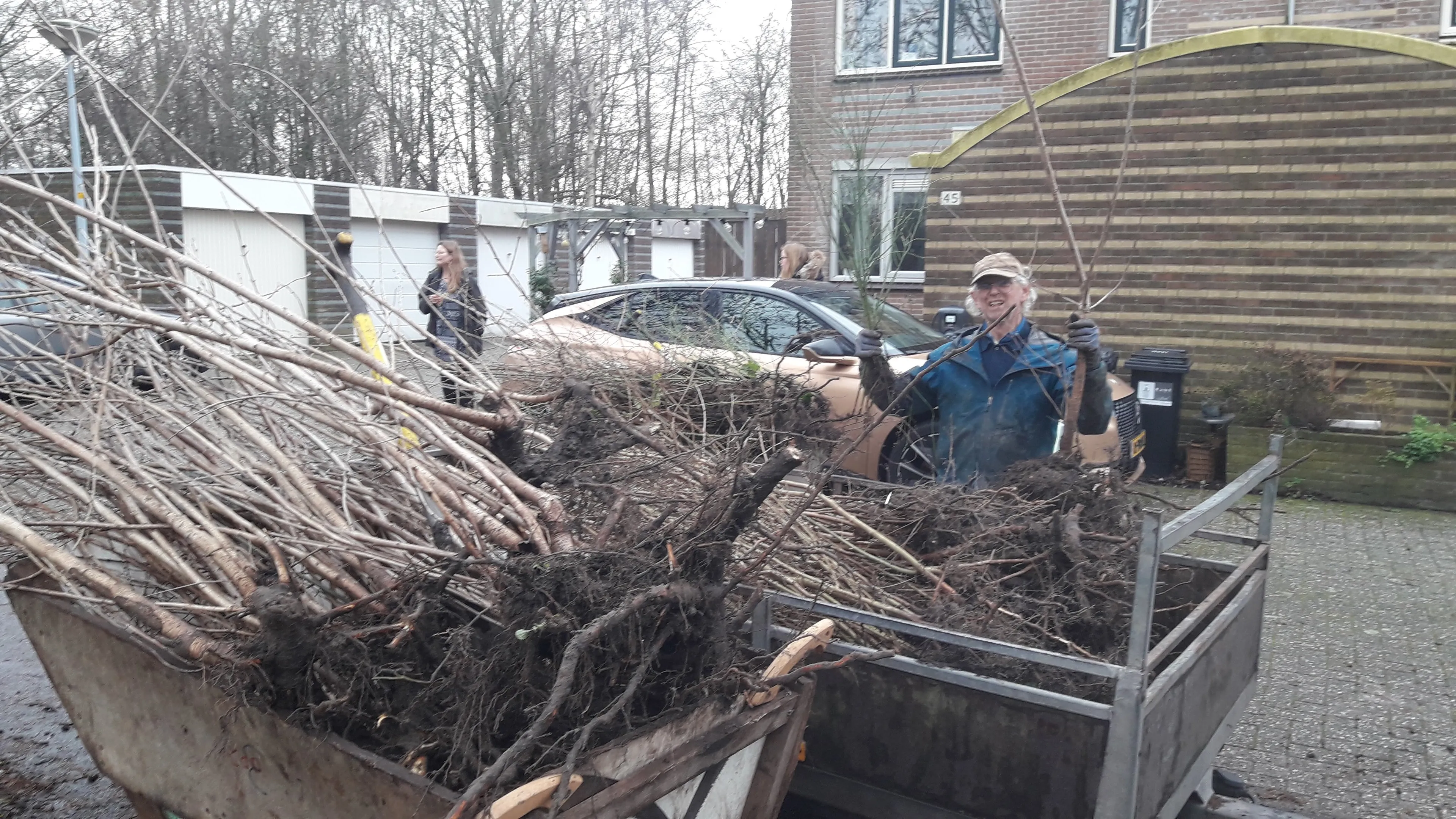 blog8jan kersenbomen