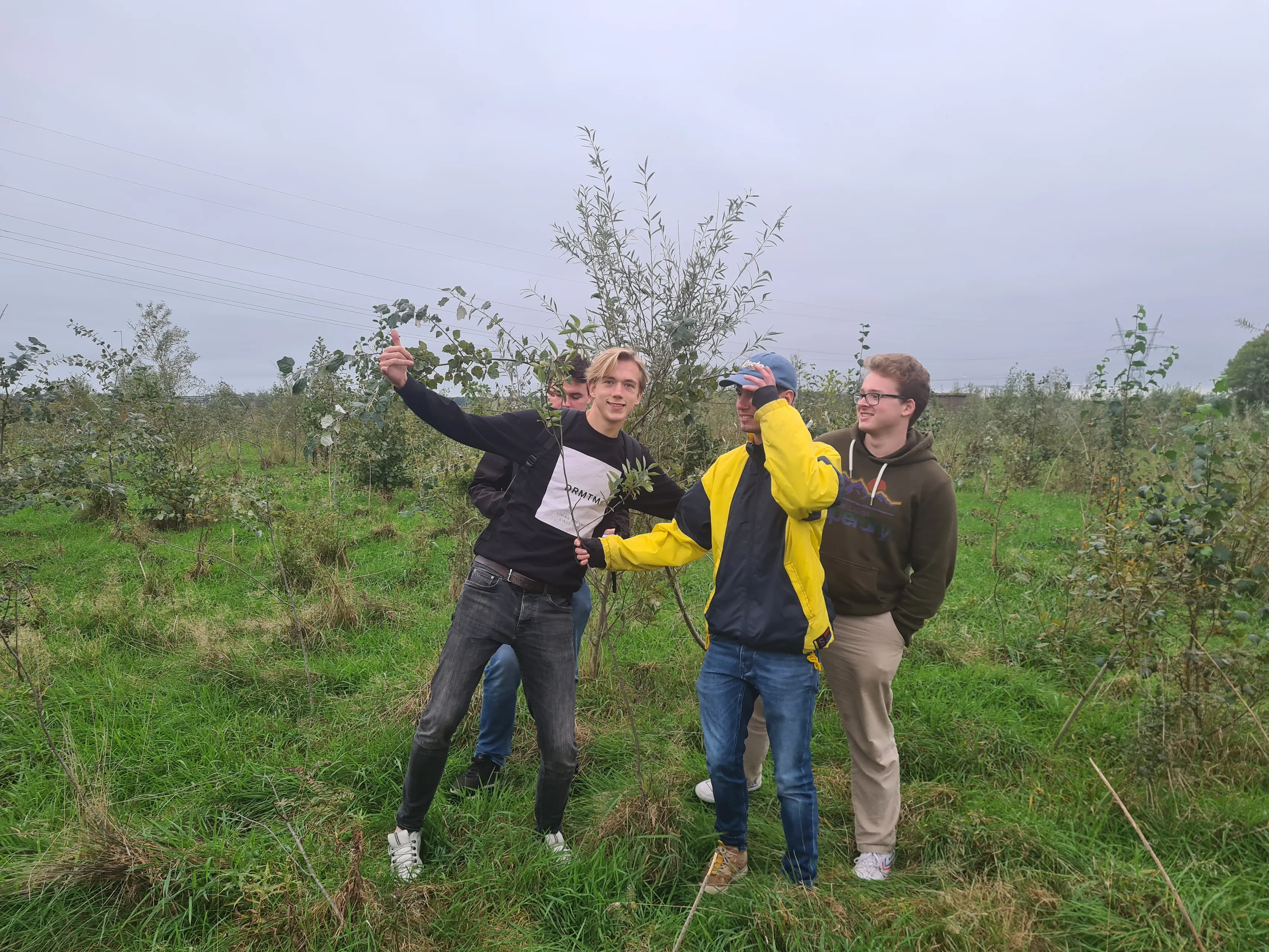 blog8oktobermeehrbaeumejetzt