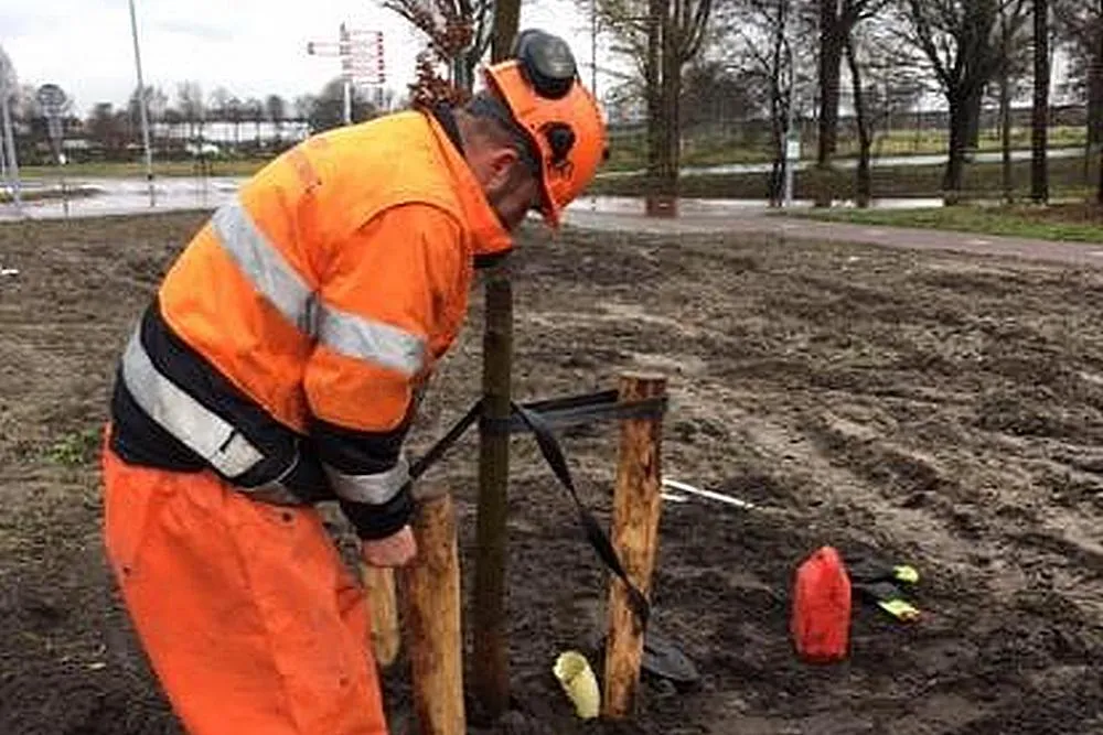 bomen planten 12 gemeente haarlemmermeer