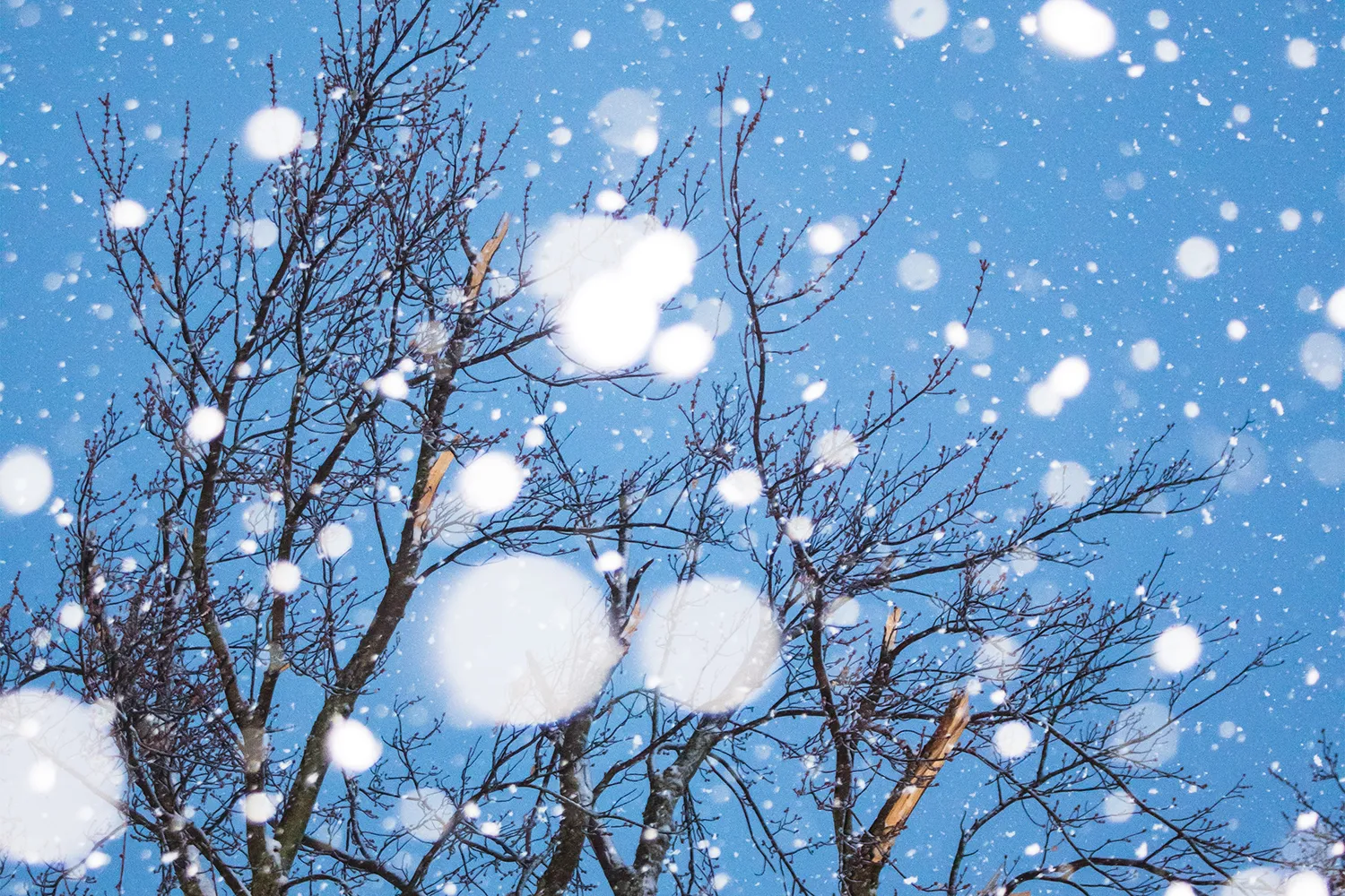 chandler cruttenden km1p1c1q8qo unsplash