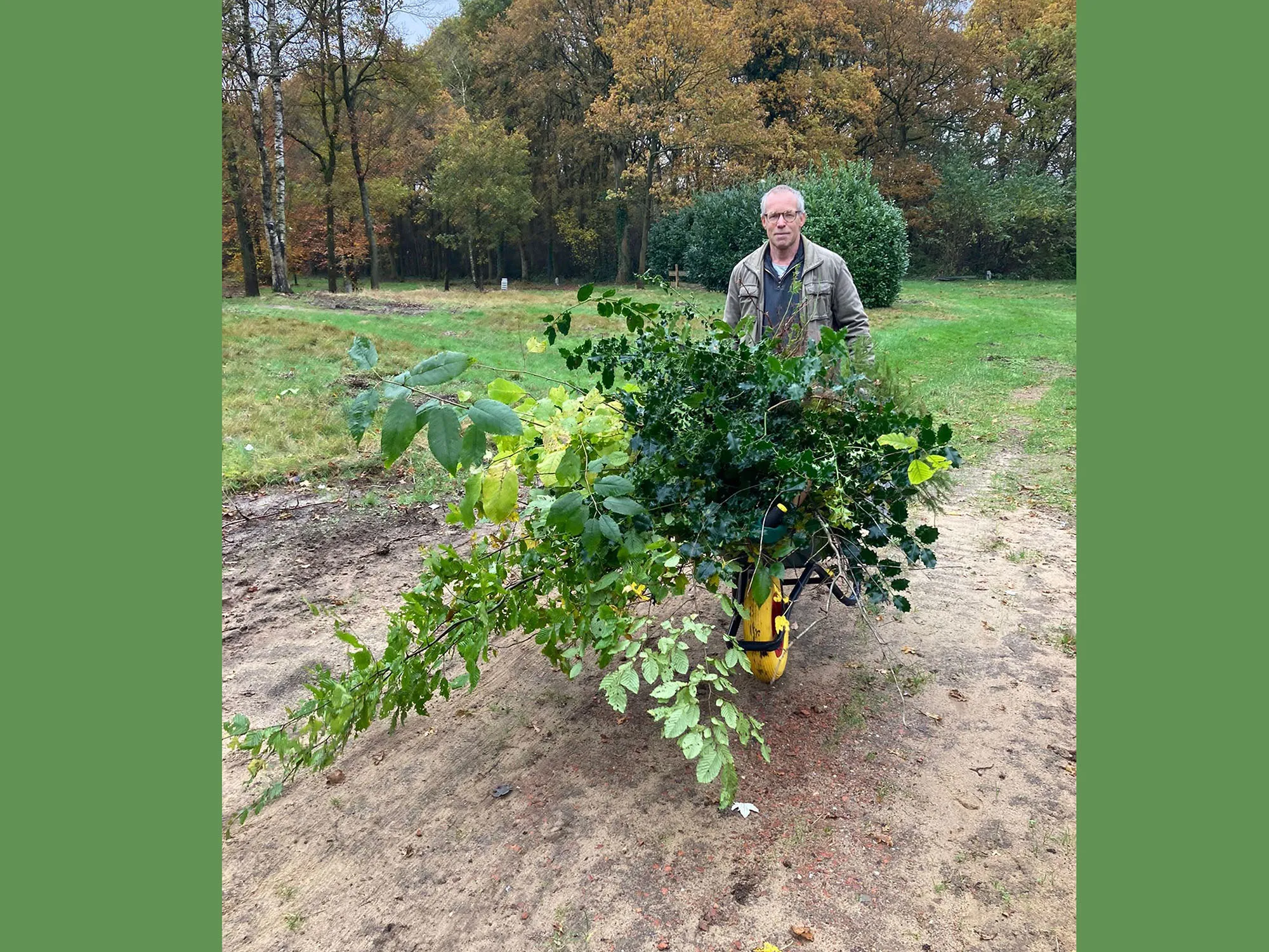 deoogst van 1 dag 2000 zaailingen 1