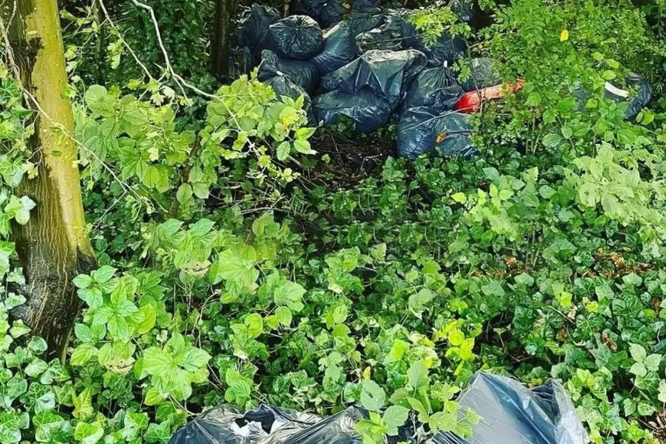 drugs politie noord holland