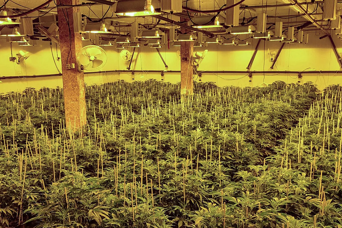 gawbwjhwuaaud5n kopieren