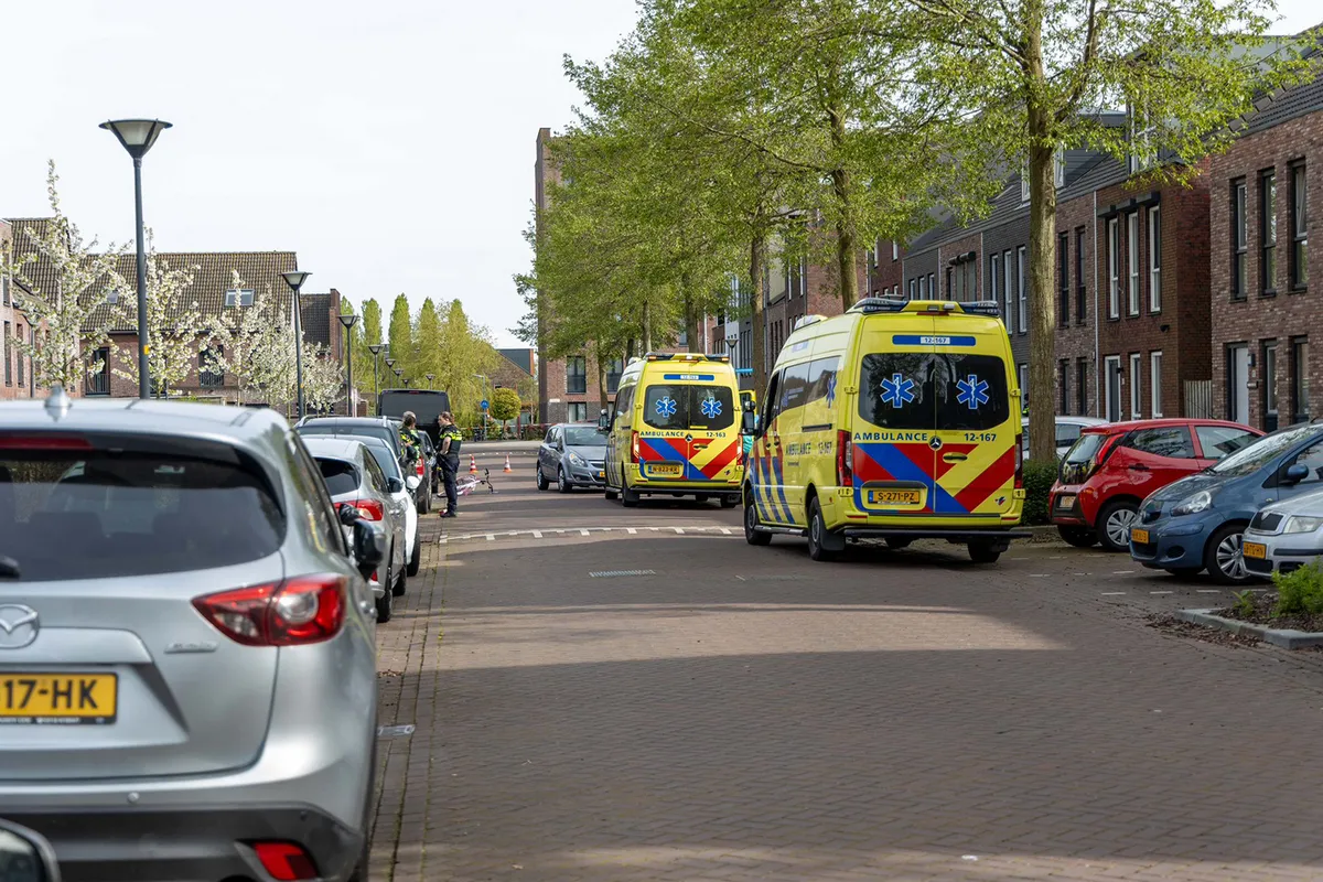 img 20240414 wa0055 kopierenb