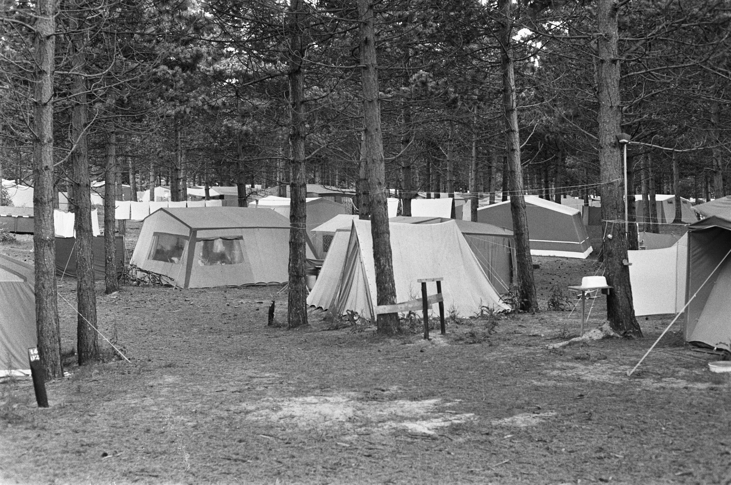 kampeerders op een camping in bakkum noord holland bestanddeelnr 925 7096 scaled