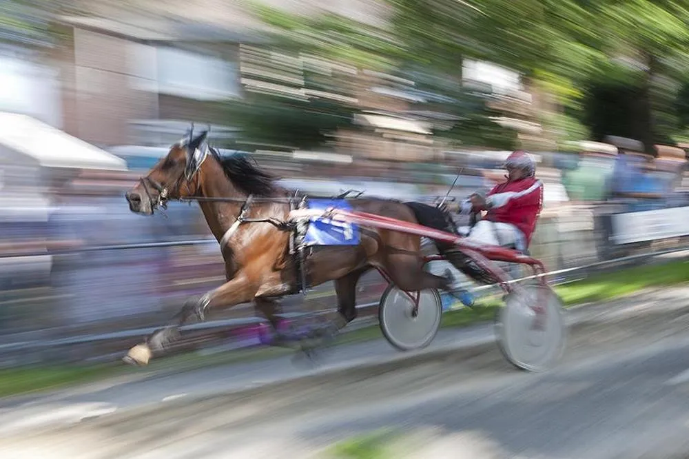 kortebaandraverij wim meijer fotografie