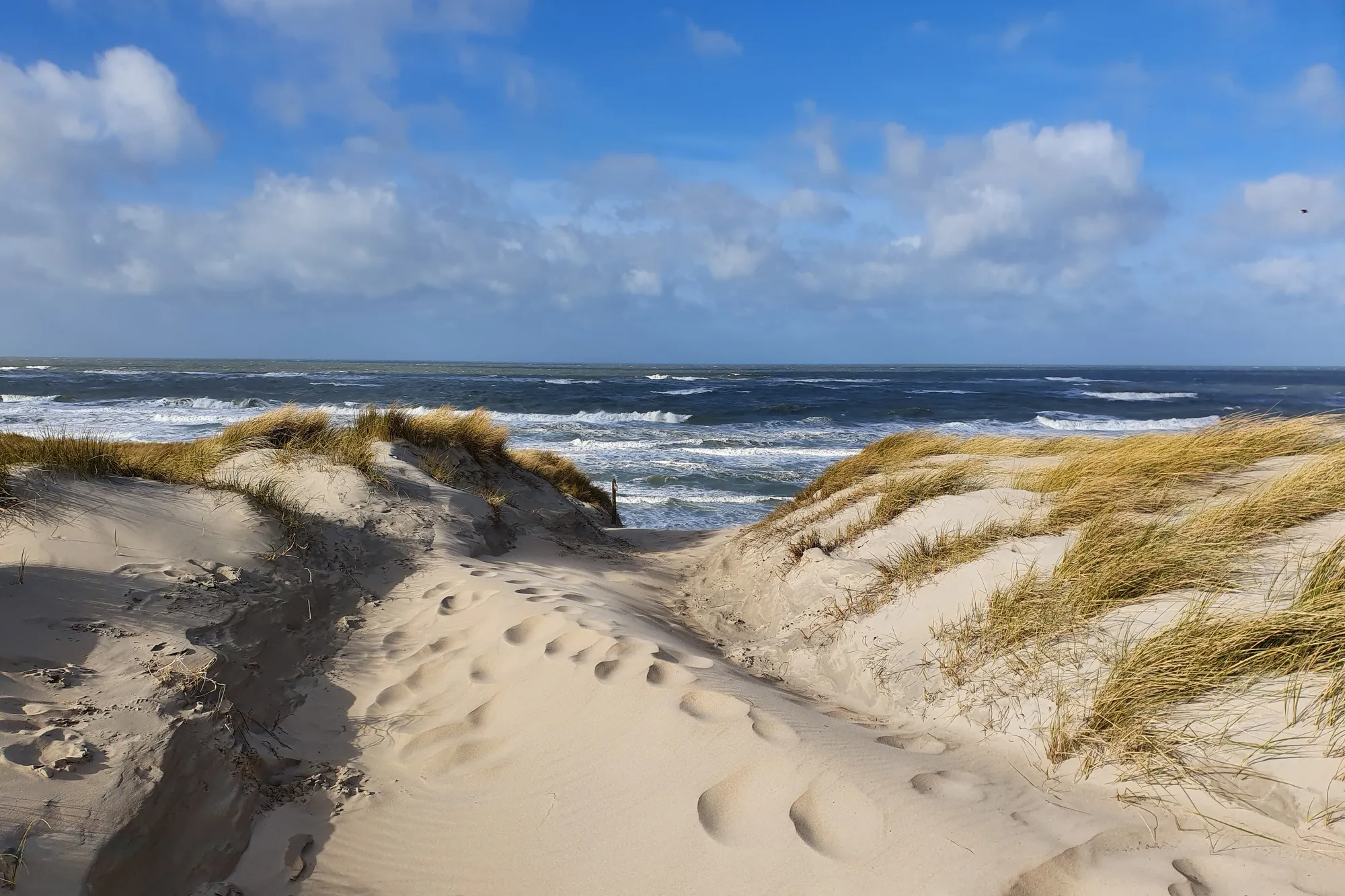 strand texel wim meijer fotografie