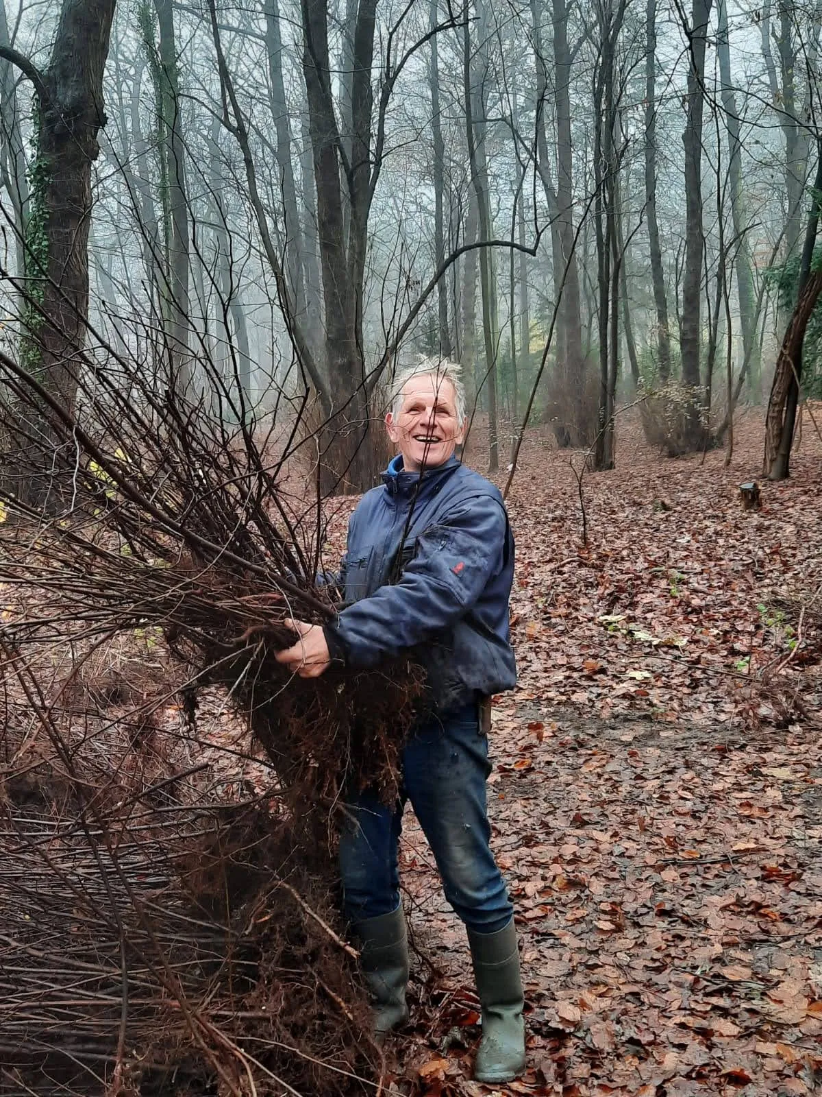 weer50zaailingen kopie