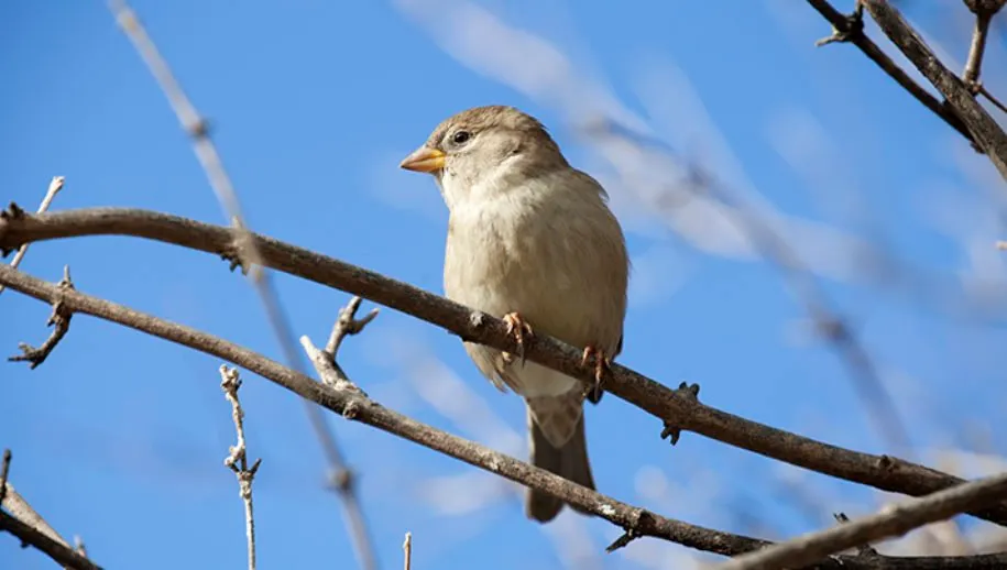 wim meijer fotografie mg 9410 banner 915x518